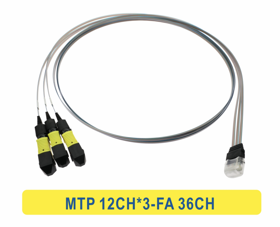 3 * 12F MTP'den 36CH FA'ya Fiber Dizi Fiber Optik Patchcord Kablosu
