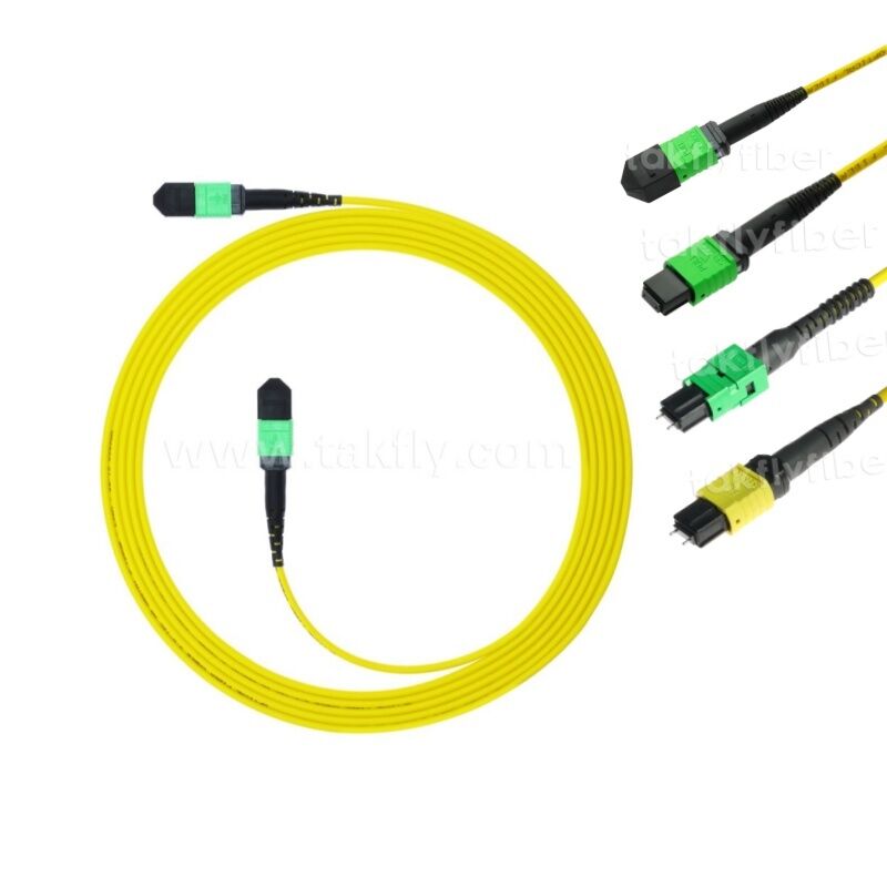 MPO MTP Patchcord SM Trunk Kablo 12F Veri Merkezi AI Telekom FTTX Kablolama için Fiber Optik