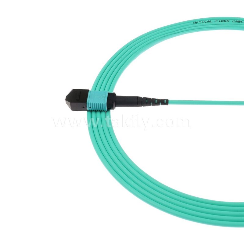 Veri Merkezi AI Telekom Kablolaması için MPO MTP Patchcord MM OM3 Ana Kablo 12F Fiber Optik