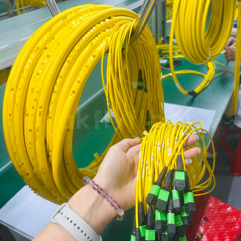 Takfly 288-Fiber MPO/MTP Ultra-Yoğunluklu Patch Kablo