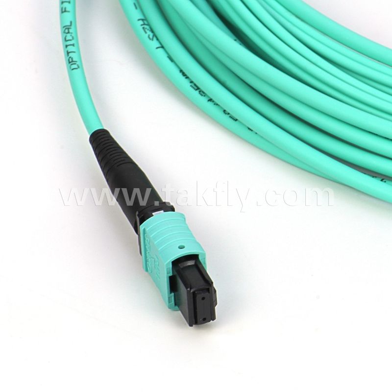 Veri Merkezi Uygulamaları için Çok Modlu Fiber Optic Kablo 12/24 Çekirdek Mpo Mtp Om3