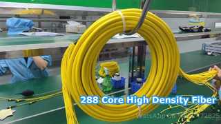 288F MPO/MTP Bağlantı Kablosu